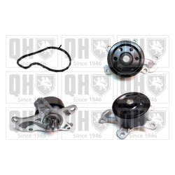 Engine Cooling Water Pump QUINTON HAZELL QCP3881 OE Ref 1610009640