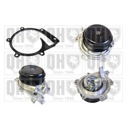 Engine Cooling Water Pump QUINTON HAZELL QCP3986 OE Ref 6562010010