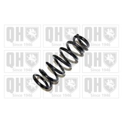 Suspension Spring QUINTON HAZELL QCS5025 OE Ref 4823105440