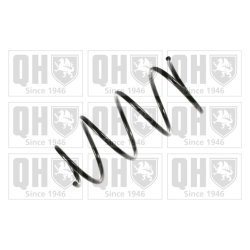 Suspension Spring QUINTON HAZELL QCS5029 OE Ref 60613563 QUINTON HAZELL