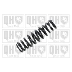 Suspension Spring QUINTON HAZELL QCS5040 OE Ref 1293240504