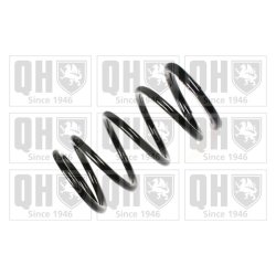 Suspension Spring QUINTON HAZELL QCS5041 OE Ref 4823142110