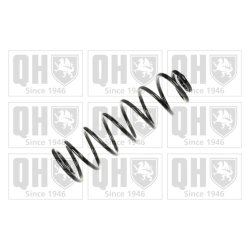 Suspension Spring QUINTON HAZELL QCS5052 OE Ref 8614554