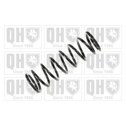 Suspension Spring QUINTON HAZELL QCS5056 OE Ref 1076915