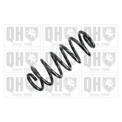 Suspension Spring QUINTON HAZELL QCS5079 OE Ref 8D0411105FS