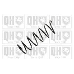 Suspension Spring QUINTON HAZELL QCS5081 OE Ref 7700800994