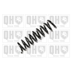 Suspension Spring QUINTON HAZELL QCS5094 OE Ref 2103242904 QUINTON HAZELL