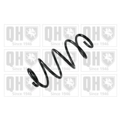 Suspension Spring QUINTON HAZELL QCS5103 OE Ref 50707397