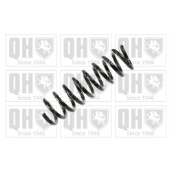 Suspension Spring QUINTON HAZELL QCS5113 OE Ref 2023211904