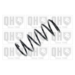 Suspension Spring QUINTON HAZELL QCS5120 OE Ref 546301C221DS