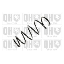 Suspension Spring QUINTON HAZELL QCS5135 OE Ref 6Q0411105AE