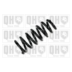 Suspension Spring QUINTON HAZELL QCS5138 OE Ref MR510429 QUINTON HAZELL