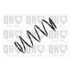 Suspension Spring QUINTON HAZELL QCS5165 OE Ref 312857