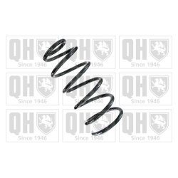 Suspension Spring QUINTON HAZELL QCS5178 OE Ref 1J0411105CD
