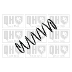 Suspension Spring QUINTON HAZELL QCS5196 OE Ref 424037