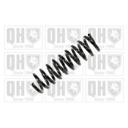 Suspension Spring QUINTON HAZELL QCS5204 OE Ref 2023241904