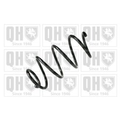 Suspension Spring QUINTON HAZELL QCS5211 OE Ref 546302Y014