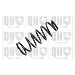 Suspension Spring QUINTON HAZELL QCS5224 OE Ref 54010VB97B