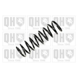 Suspension Spring QUINTON HAZELL QCS5236 OE Ref 33531091553