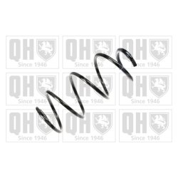 Suspension Spring QUINTON HAZELL QCS5244 OE Ref 8200361735