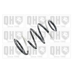 Suspension Spring QUINTON HAZELL QCS5245 OE Ref CG1634011