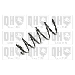 Suspension Spring QUINTON HAZELL QCS5254 OE Ref 312256