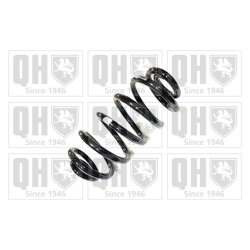 Suspension Spring QUINTON HAZELL QCS5256 OE Ref RKB101001
