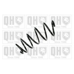 Suspension Spring QUINTON HAZELL QCS5260 OE Ref 312257