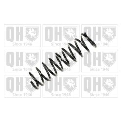 Suspension Spring QUINTON HAZELL QCS5261 OE Ref 33531091547 QUINTON HAZELL