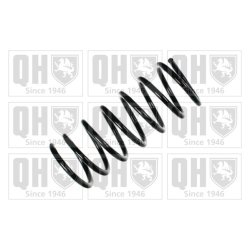 Suspension Spring QUINTON HAZELL QCS5274 OE Ref 5535002000 QUINTON HAZELL