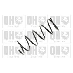 Suspension Spring QUINTON HAZELL QCS5278 OE Ref 1034122
