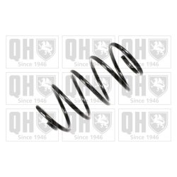 Suspension Spring QUINTON HAZELL QCS5281 OE Ref 1001401
