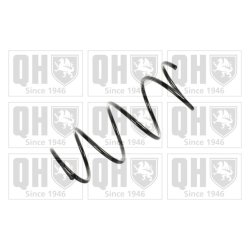 Suspension Spring QUINTON HAZELL QCS5285 OE Ref 8200193022