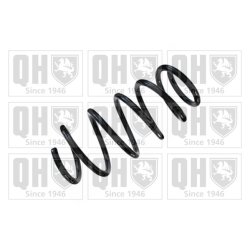 Suspension Spring QUINTON HAZELL QCS5288 OE Ref 24466407