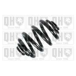 Suspension Spring QUINTON HAZELL QCS5289 OE Ref 701511105M