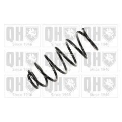 Suspension Spring QUINTON HAZELL QCS5307 OE Ref 357411105AA QUINTON HAZELL