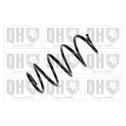 Suspension Spring QUINTON HAZELL QCS5311 OE Ref 1K0411105DA QUINTON HAZELL