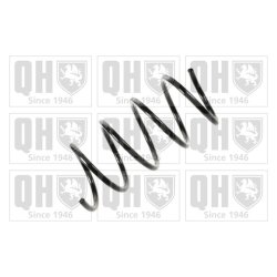 Suspension Spring QUINTON HAZELL QCS5318 OE Ref 1683212704
