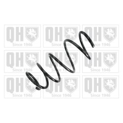 Suspension Spring QUINTON HAZELL QCS5319 OE Ref 4813105A50