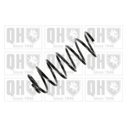 Suspension Spring QUINTON HAZELL QCS5321 OE Ref 6K0411105A952
