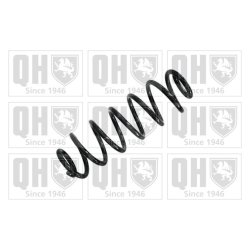 Suspension Spring QUINTON HAZELL QCS5351 OE Ref 1K0511115BG
