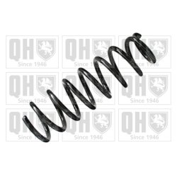 Suspension Spring QUINTON HAZELL QCS5370 OE Ref 20380XA02A