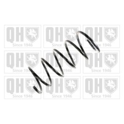 Suspension Spring QUINTON HAZELL QCS5372 OE Ref 1023311