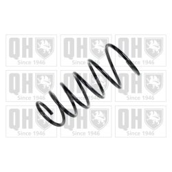 Suspension Spring QUINTON HAZELL QCS5377 OE Ref 4111162J20000