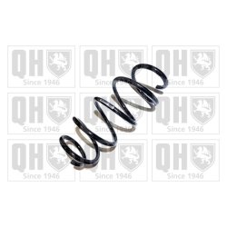 Suspension Spring QUINTON HAZELL QCS5381 OE Ref 1K0411105BB