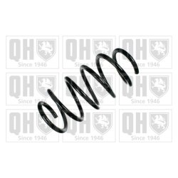 Suspension Spring QUINTON HAZELL QCS5388 OE Ref 09198769
