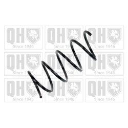 Suspension Spring QUINTON HAZELL QCS5411 OE Ref 1683213504 QUINTON HAZELL