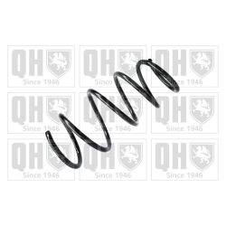 Suspension Spring QUINTON HAZELL QCS5421 OE Ref 481310F070