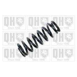 Suspension Spring QUINTON HAZELL QCS5427 OE Ref REB000670