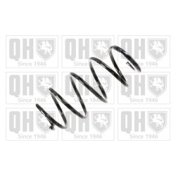 Suspension Spring QUINTON HAZELL QCS5436 OE Ref 312171 QUINTON HAZELL